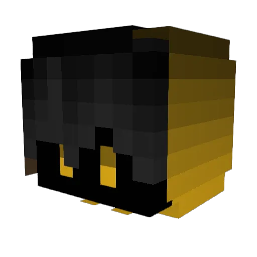 PwinceWasTaken Minecraft avatar head, 3D render