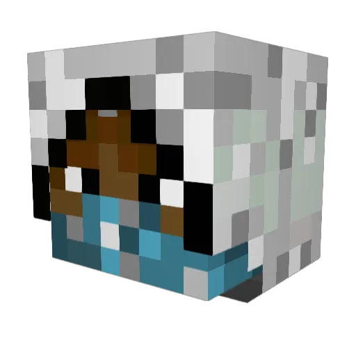 PwnageBeans Minecraft avatar head, 3D render