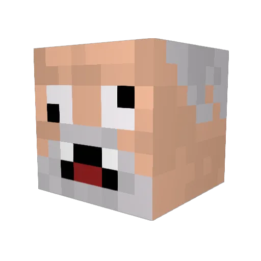 Pwned_ Minecraft avatar head, 3D render