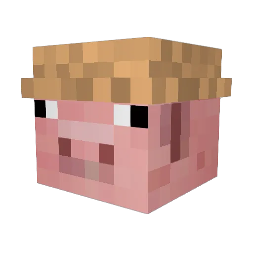 Pwntusz Minecraft avatar head, 3D render