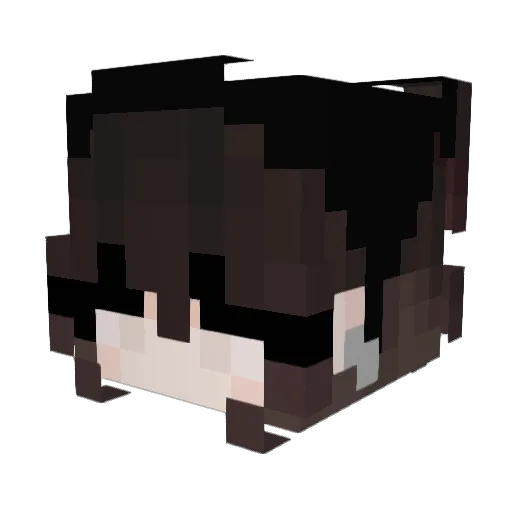 Pwssy Minecraft avatar head, 3D render