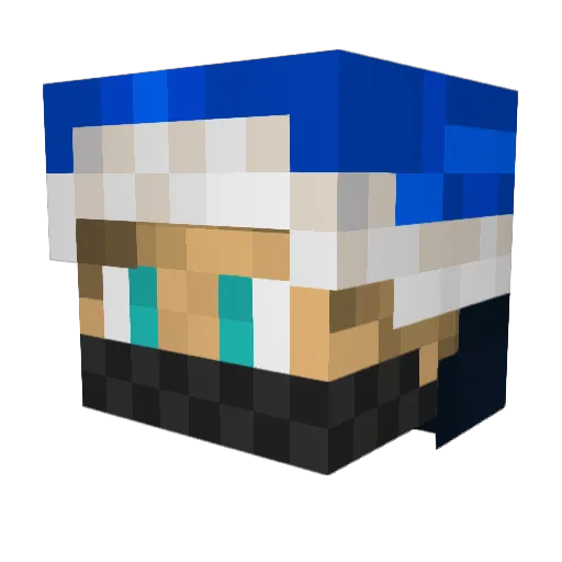 Px_Banjoucoup Minecraft avatar head, 3D render