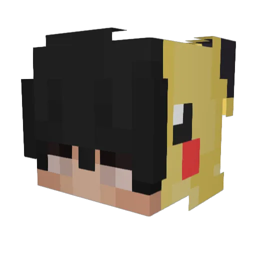 Px_Flyez_ Minecraft avatar head, 3D render