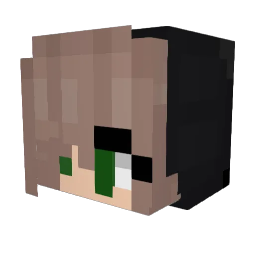 Pxkxchx Minecraft avatar head, 3D render
