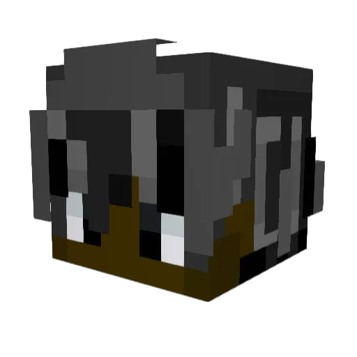 Pxngii Minecraft avatar head, 3D render
