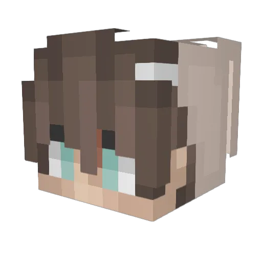 Pxnpan_ Minecraft avatar head, 3D render
