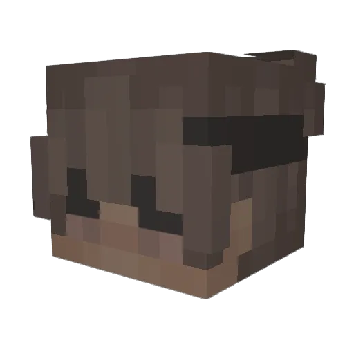 PxrfectL Minecraft avatar head, 3D render