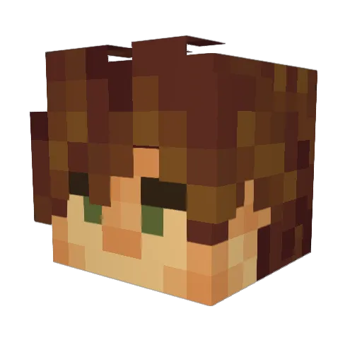 Pxteen162 Minecraft avatar head, 3D render