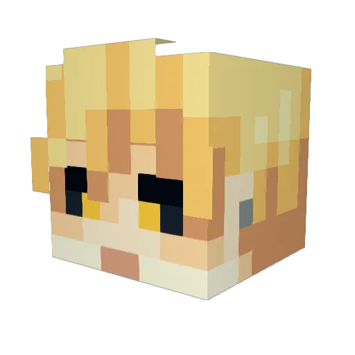 Pxyych0 Minecraft avatar head, 3D render