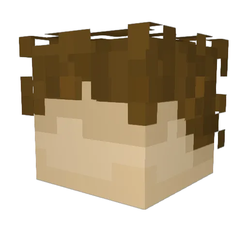 PyQoN Minecraft avatar head, 3D render