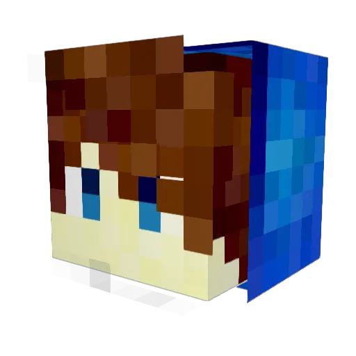 PyThOn_RainZz Minecraft avatar head, 3D render