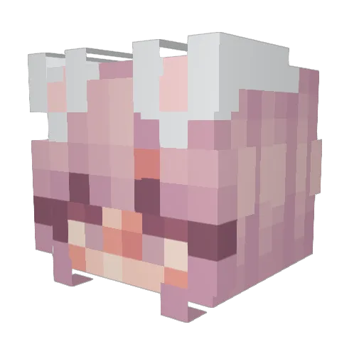 Pyaopi Minecraft avatar head, 3D render