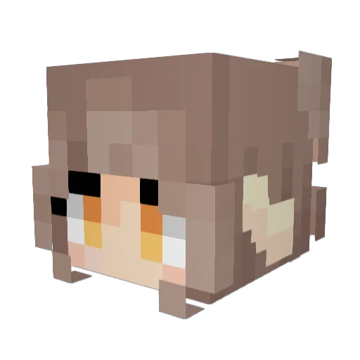 Pyatr_UwU Minecraft avatar head, 3D render