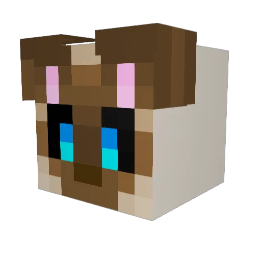 PyeWhacket Minecraft avatar head, 3D render