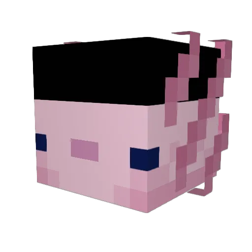 Pykinic Minecraft avatar head, 3D render