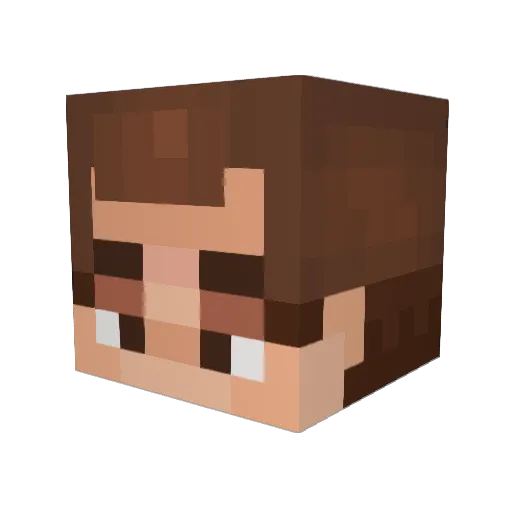 Pylog Minecraft avatar head, 3D render