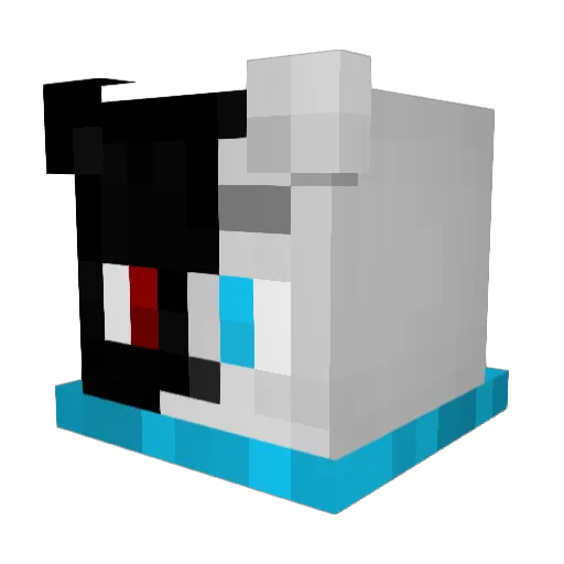 Pyme19 Minecraft avatar head, 3D render