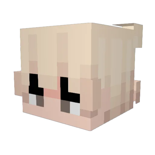 Pypa28 Minecraft avatar head, 3D render