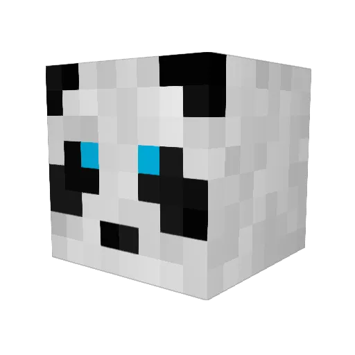 Pyppus Minecraft avatar head, 3D render
