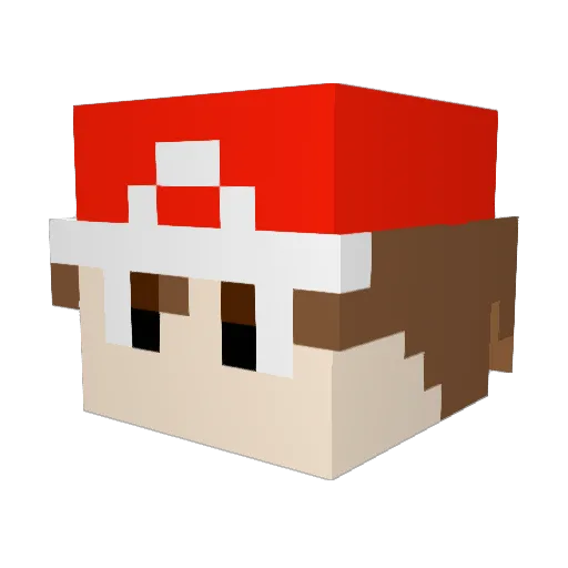 PyrateKing17 Minecraft avatar head, 3D render