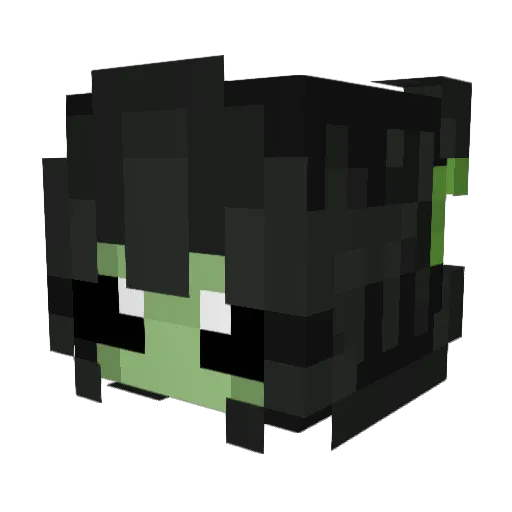 Pyrcy1 Minecraft avatar head, 3D render