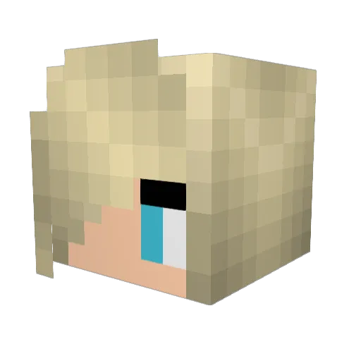 Pyrectic Minecraft avatar head, 3D render