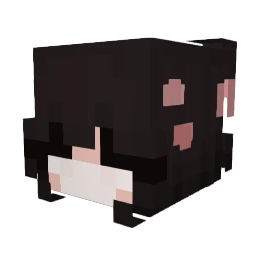 Pyrex33 Minecraft avatar head, 3D render