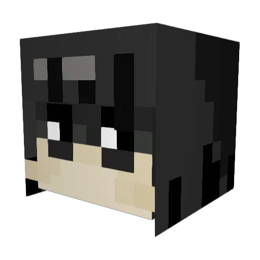 Pyro2530 Minecraft avatar head, 3D render