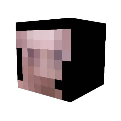 PyroFuzz Minecraft avatar head, 3D render