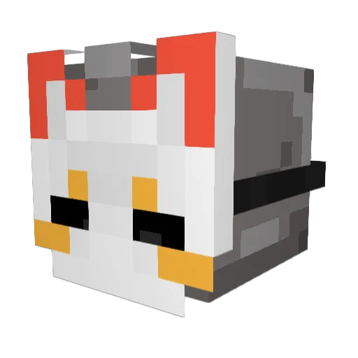 Pyro_Mang0 Minecraft avatar head, 3D render