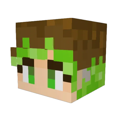 Pyro_Septic Minecraft avatar head, 3D render
