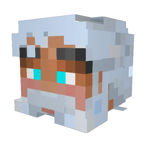 Pyrodax Minecraft avatar head, 3D render