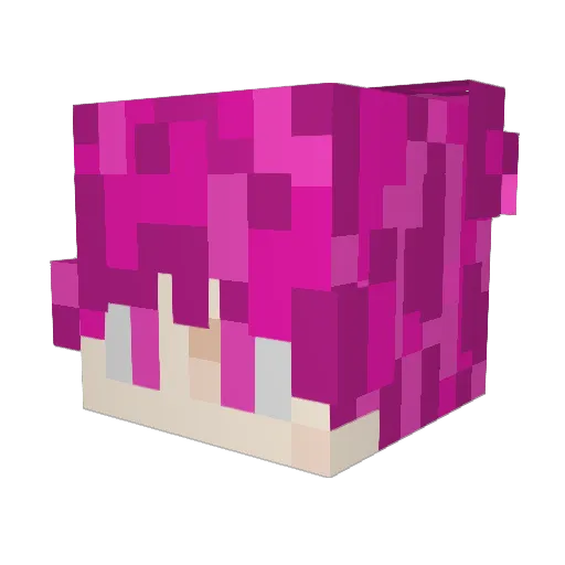 Pyrodite Minecraft avatar head, 3D render