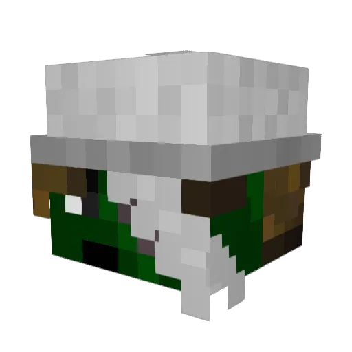 Pyrofrostty Minecraft avatar head, 3D render