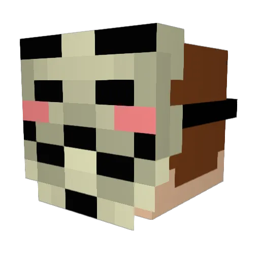 Pyromaniac_F_W Minecraft avatar head, 3D render