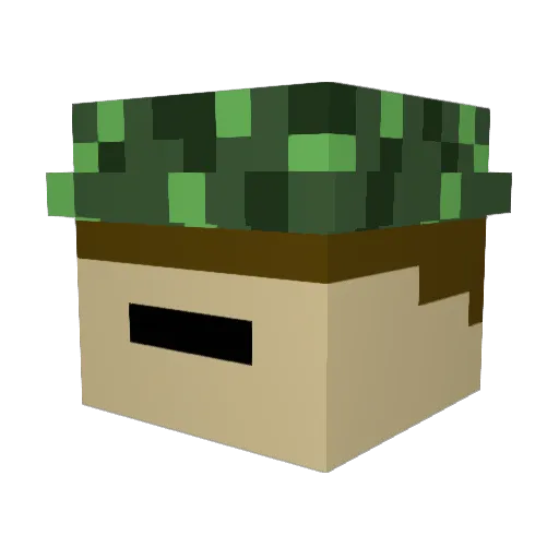 Pyronite_ Minecraft avatar head, 3D render