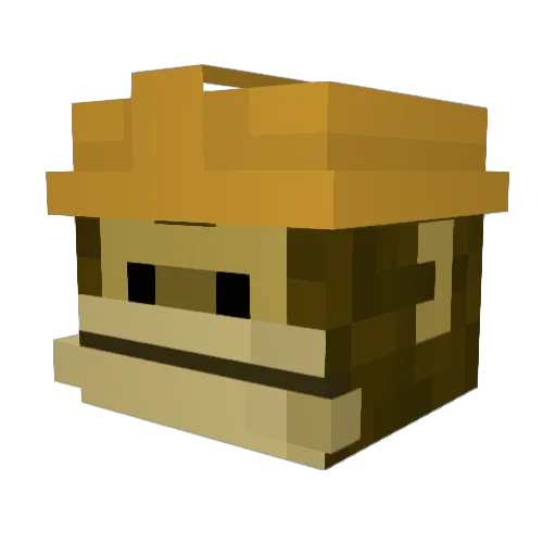 Pyroye Minecraft avatar head, 3D render