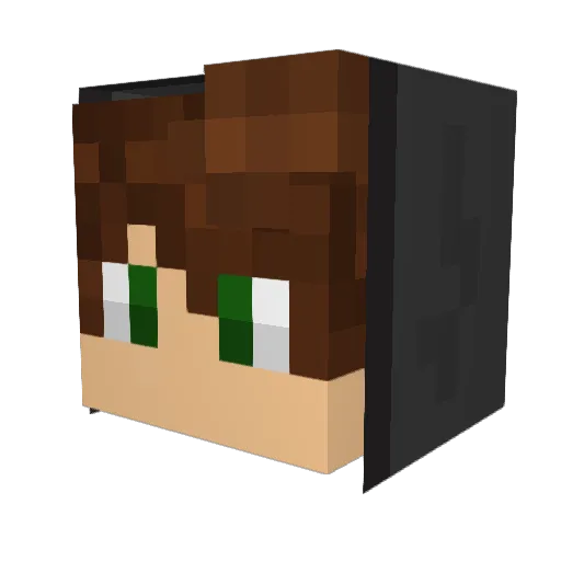 Pyry2009 Minecraft avatar head, 3D render