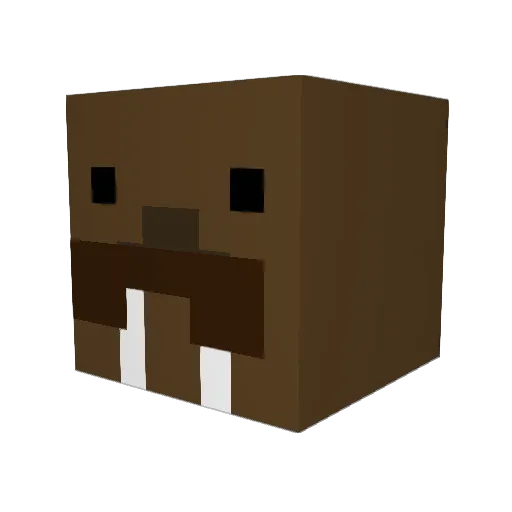 Pythagorwalrus Minecraft avatar head, 3D render