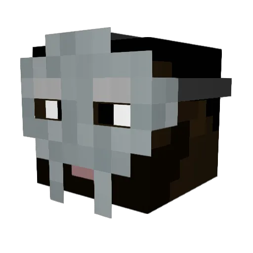 PythonNatter139 Minecraft avatar head, 3D render