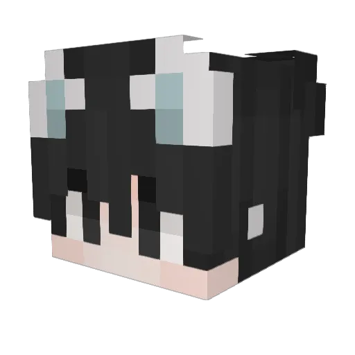 Pythoneee Minecraft avatar head, 3D render