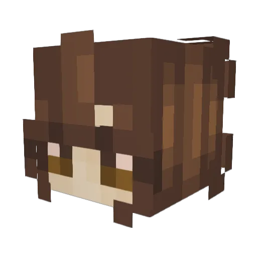 PyxelAce Minecraft avatar head, 3D render