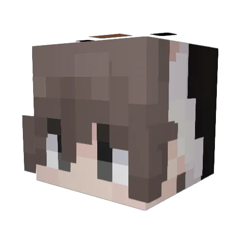 Pyytee Minecraft avatar head, 3D render