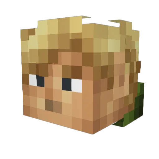 Pz_xRBz Minecraft avatar head, 3D render