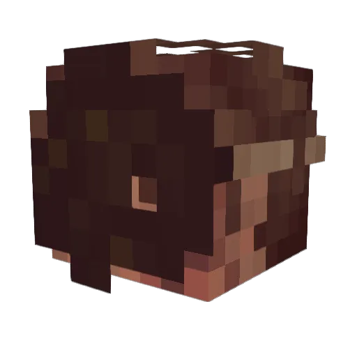Q06200 Minecraft avatar head, 3D render