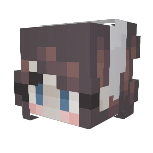 Q0el Minecraft avatar head, 3D render