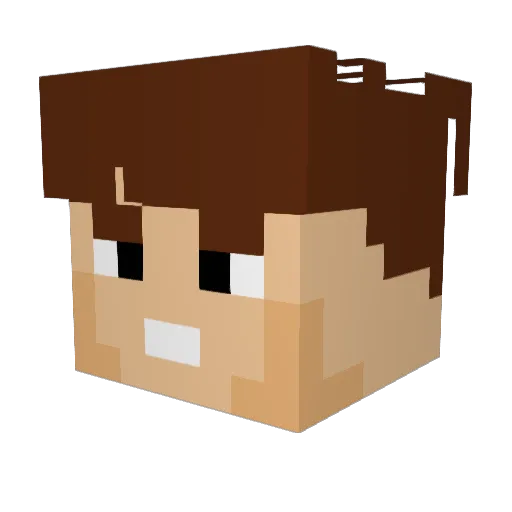 Q4OU50 Minecraft avatar head, 3D render