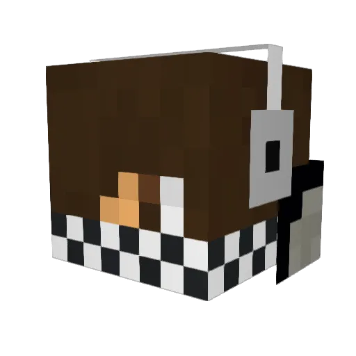 Q8_HAK Minecraft avatar head, 3D render