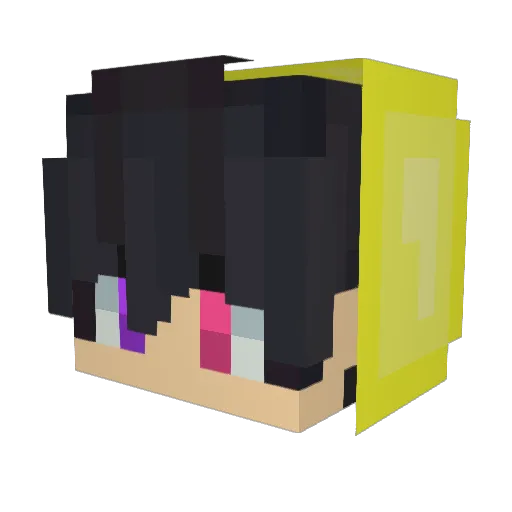 Q8_NaMoosa Minecraft avatar head, 3D render