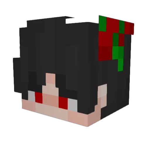 Q8_q20 Minecraft avatar head, 3D render